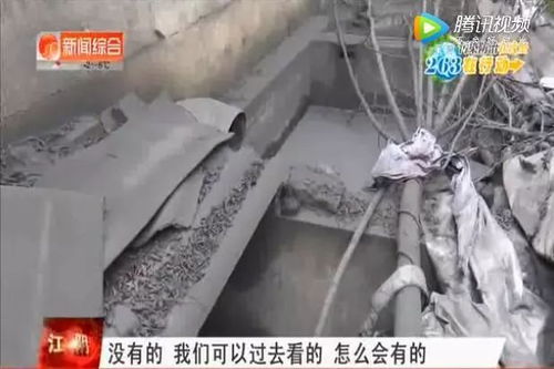 整治环境乱象，守护南闸街道的碧水蓝天